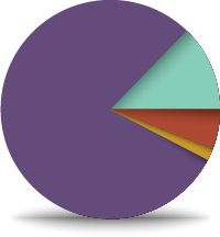 pie chart graphic